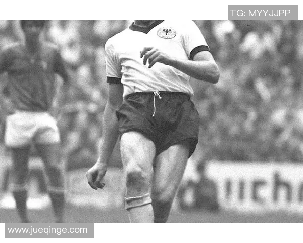 全球足球巨星及其代表号码全解析，揭示传奇背后的数字密码